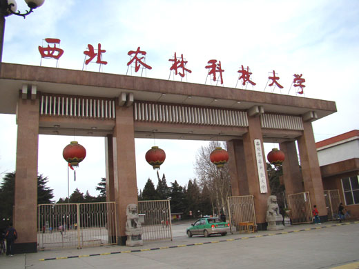 西北农林科技大学毕业证(西北农林科技大学研究生专业目录)
