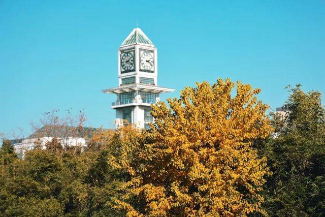 中南财经政法大学(中南财经政法大学官网)