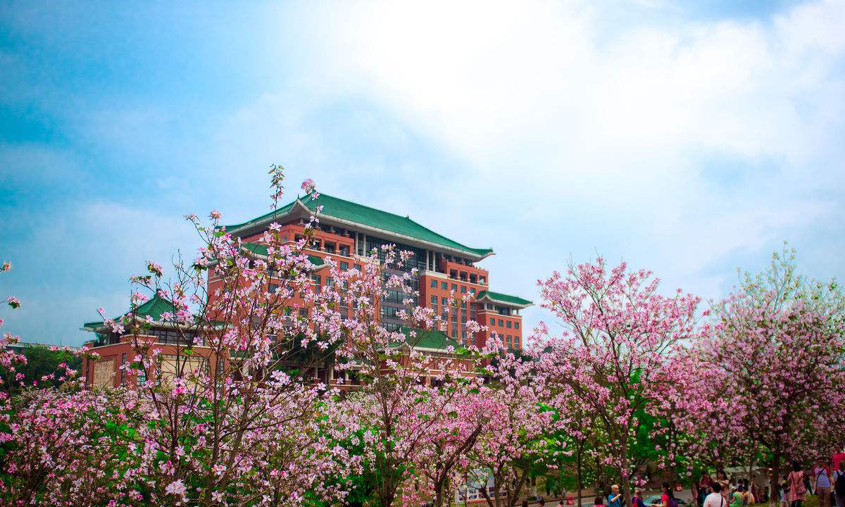 华南农业大学(华南农业大学经济管理学院)