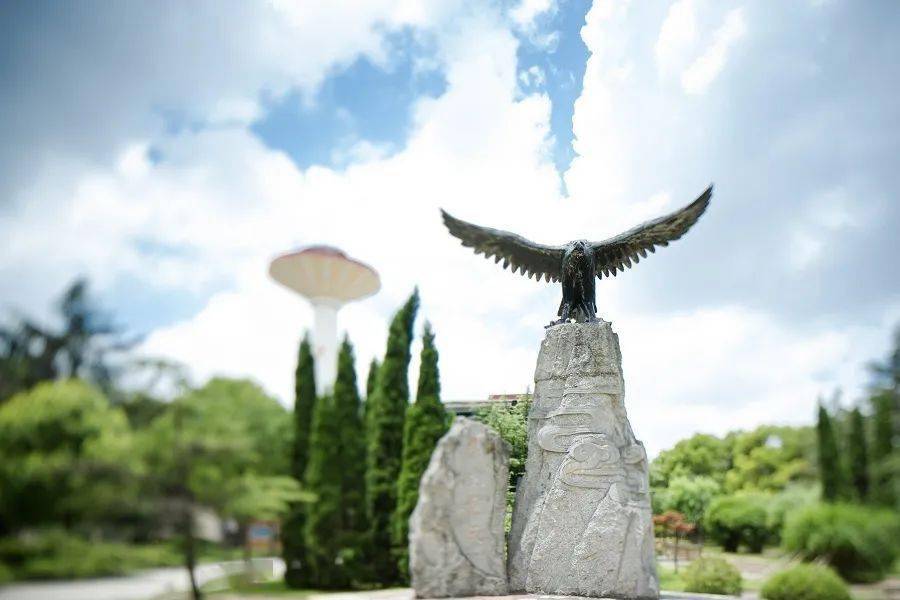 上海财经大学文凭(上海财经大学本科生毕业去向)