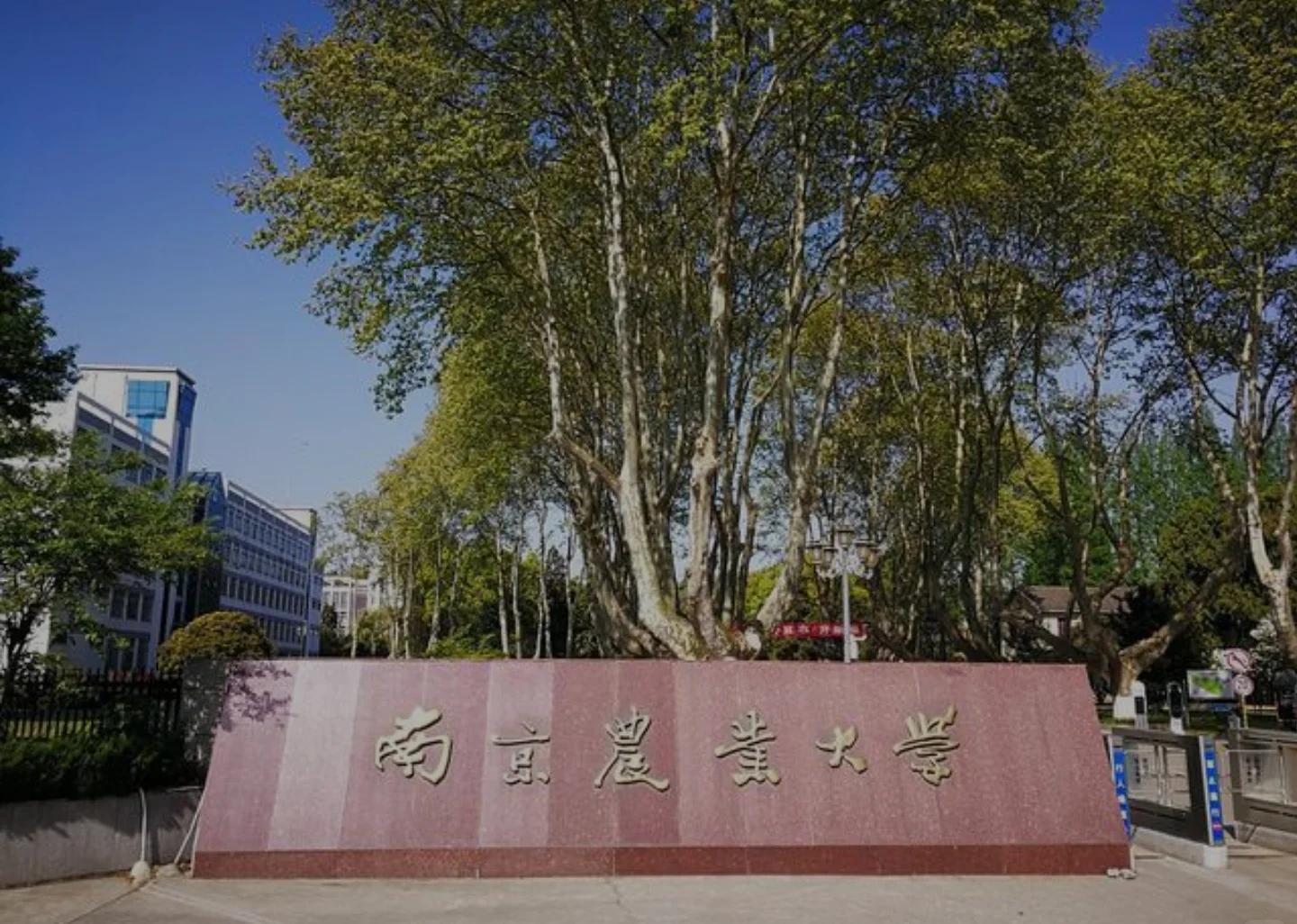 南京农业大学(南京农业大学录取分数线2024)