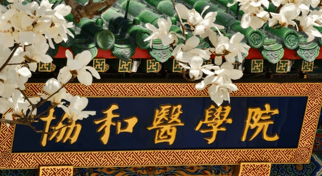 北京协和医学院要读多少年