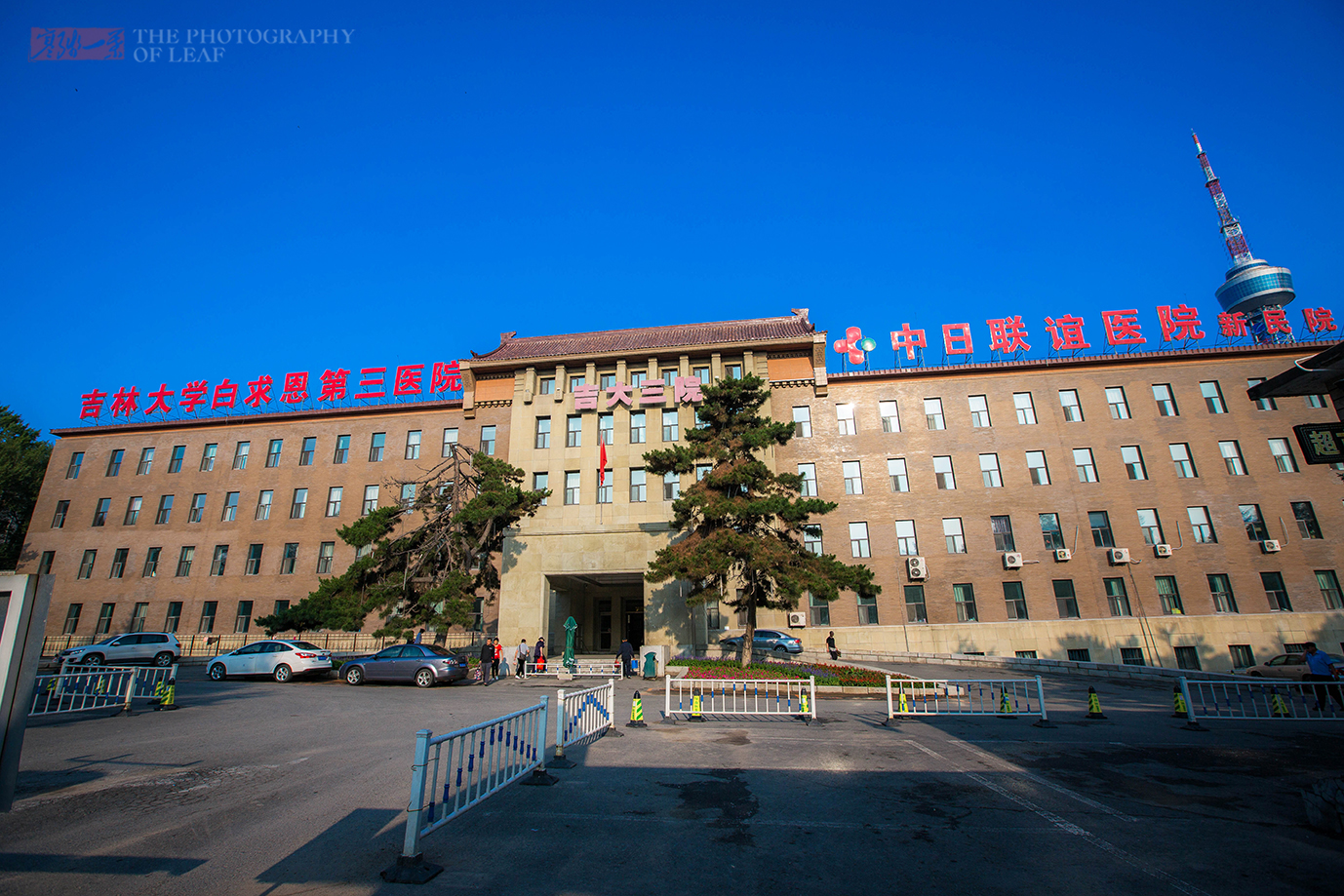 吉林大学本科学历