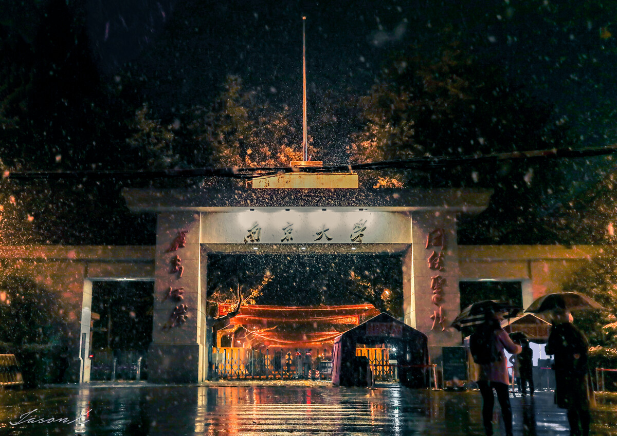 南京大学王牌专业