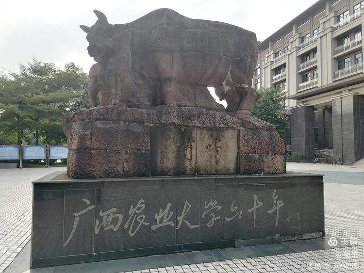 广西大学排名